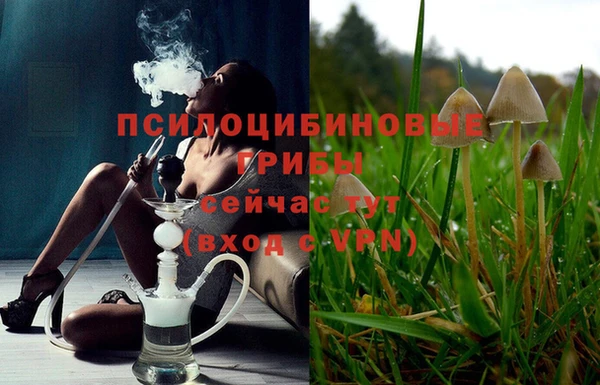 шишки Алексеевка