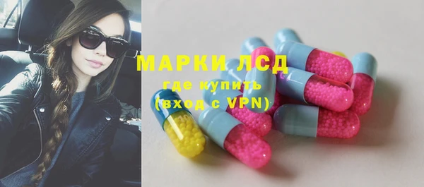 хмурый Алзамай