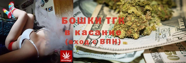 шишки Алексеевка