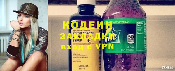 хмурый Алзамай