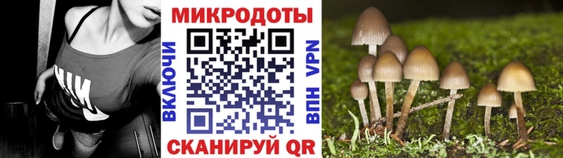 Псилоцибиновые грибы мухоморы  как найти закладки  Чусовой 