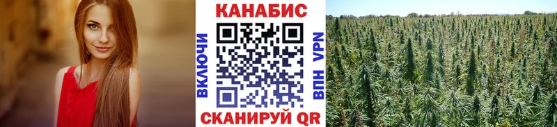 Марихуана White Widow  MEGA маркетплейс  Чусовой 
